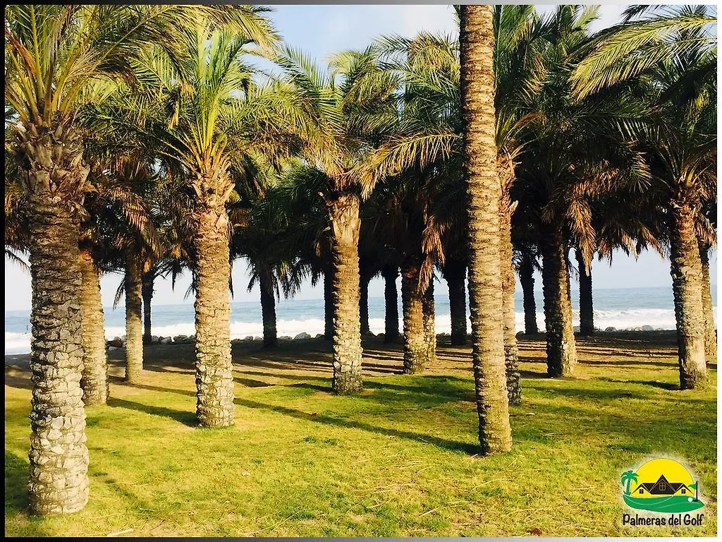 Palmeras Del Golf - Torrequebrada Benalmádena Spanje